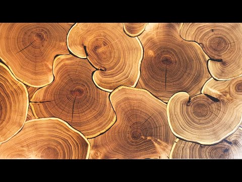 Making an Epoxy Table with Wood Slices