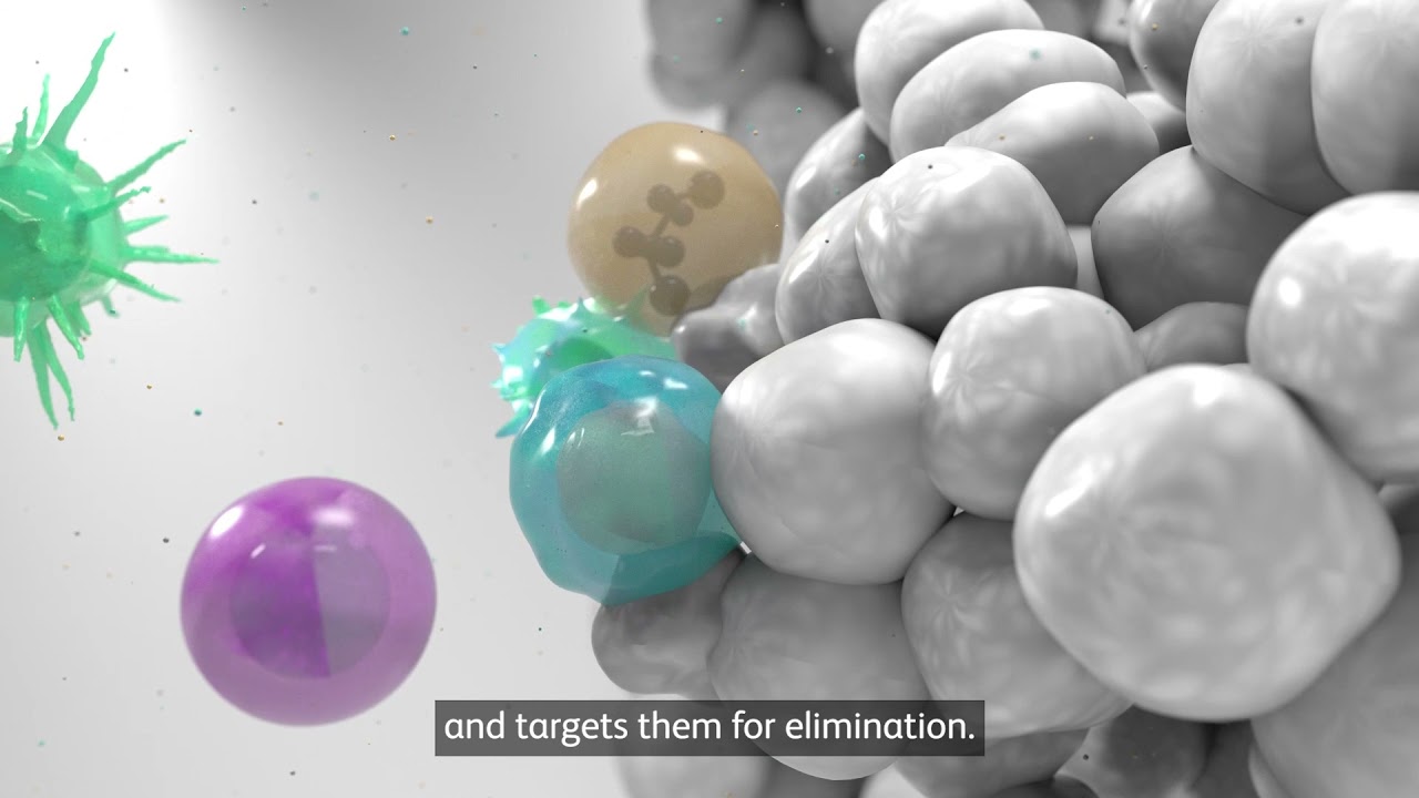 The Tumor Microenvironment