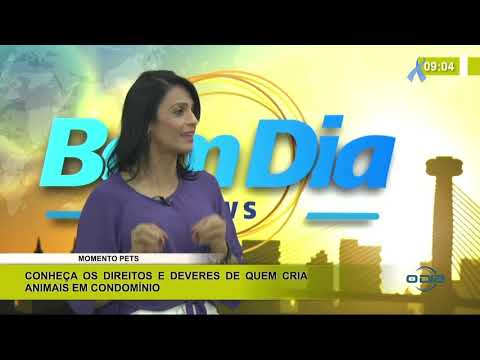 Advogado explica direitos e deveres de quem cria animais em condomínio 04 11 2020