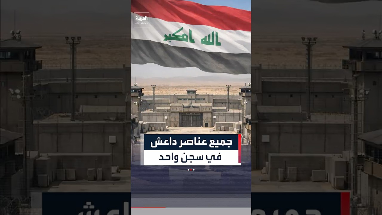 فيديو | بعد نقل  5064 من سوريا.. العراق يحتجز جميع عناصر داعش في سجن واحد