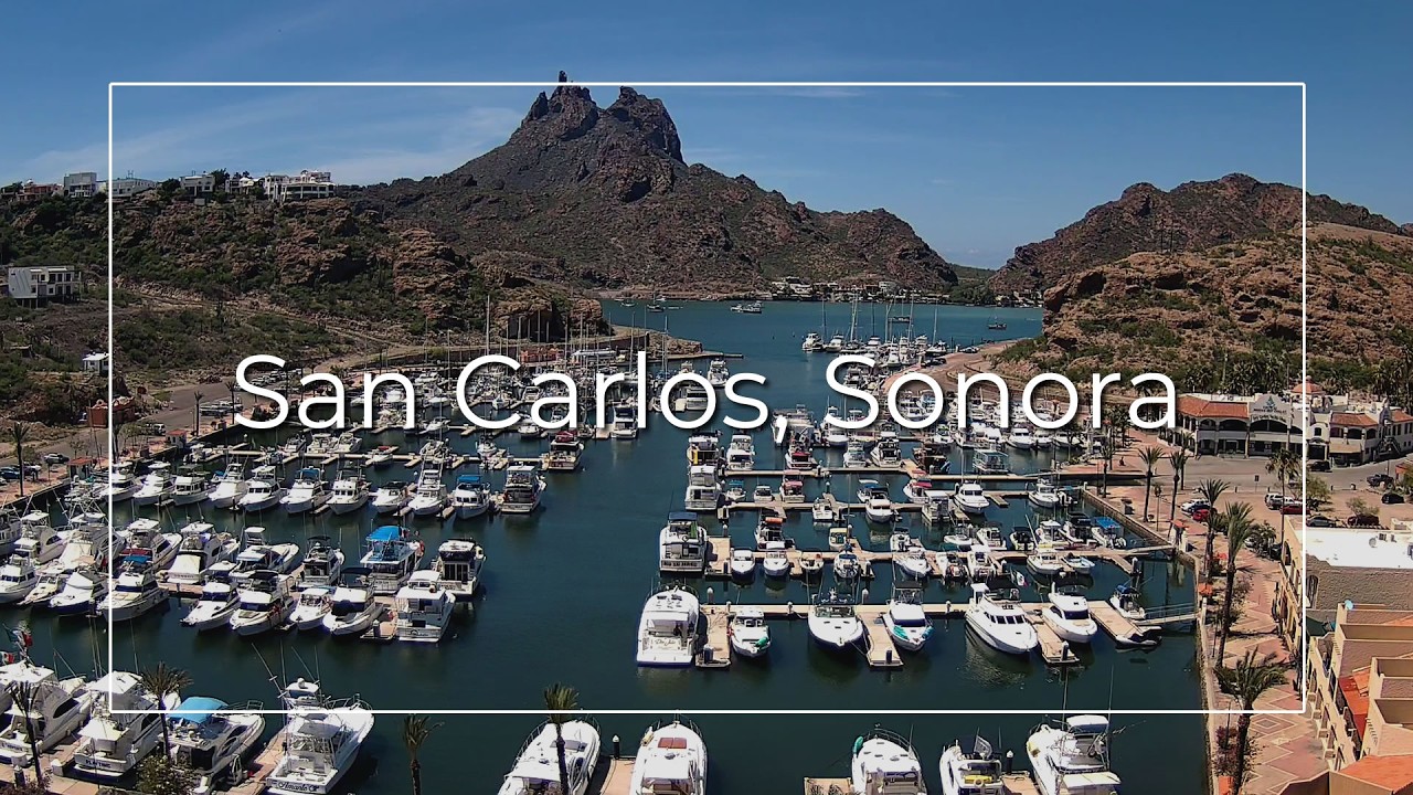 Live webcam view of San Carlos Marina and Red Hills