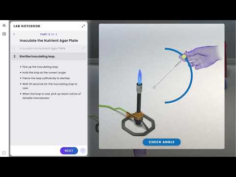 Pearson Interactive Labs | Aseptic Technique