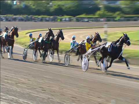 Trotto 01/05/2017 - 8ª corsa - TRIS