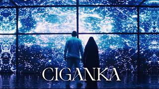EMIR BRUNCEVIC - CIGANKA (OFFICIAL VIDEO)
