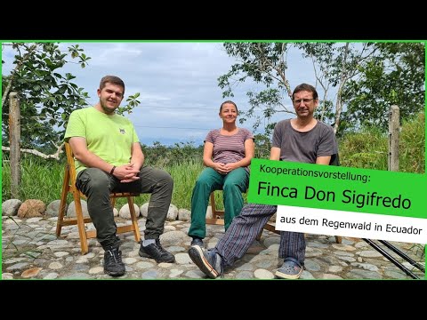 RWH on Stage 🎙 [05] - Bäume pflanzen im Regenwald.