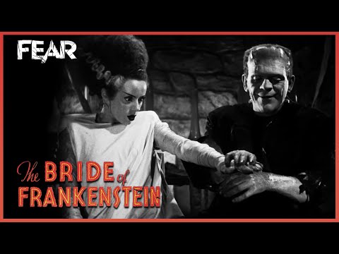 The Monster Meets His Bride | The Bride of Frankenstein (1935)
