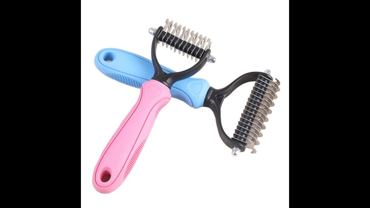 Brosse de toilettage pour chien et chat