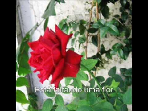 Minha mãe, minha flor video