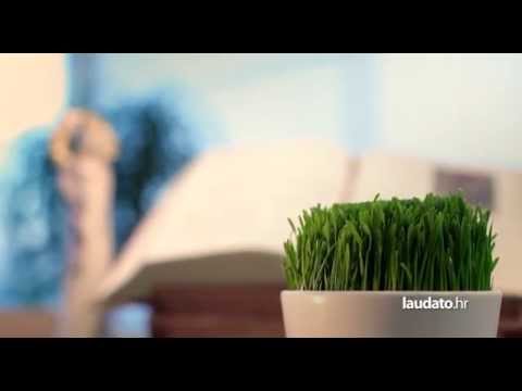 Visom leteć - Renata Sabljak i Apostoli mira