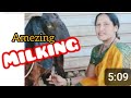 Amazing Two Finger Milking