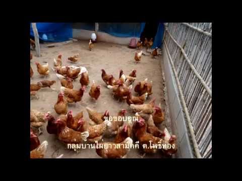 อิสราเอลในการรักษาโรคสะเก็ดเงินนั้น วิธีการของจีนในการรักษาโรคสะเก็ดเงิน