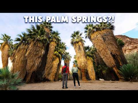 I was wrong about PALM SPRINGS | 3 days on a $300 budget