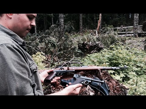 Luger P08 vs Walther P38