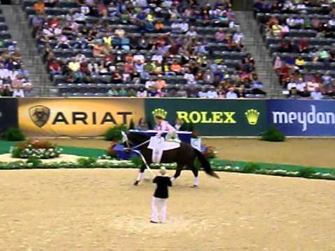 101008 WEG2010_techtest_lauman