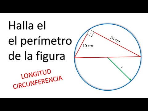 HALLAR EL PERÍMETRO DE UNA FIGURA GEOMÉTRICA. Circunferencia