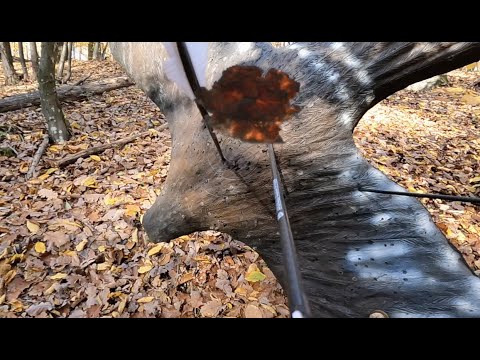 Der perfekte Pfeilflug - perfect archery arrow trajectory