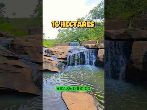 ✨️SÍTIO À VENDA EM ITANHOMI-MG COM CACHOEIRA + 3 RIOS R$2.350.000✨️