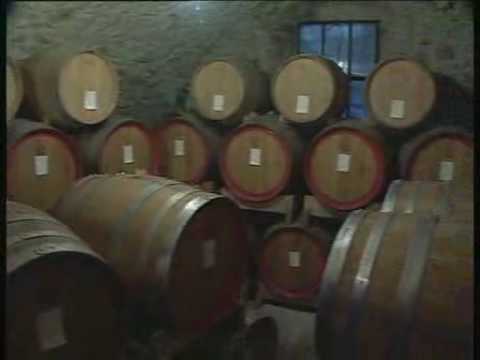 Refinement wine cellar amarone valpolicella conati english version