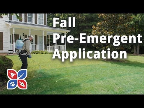  Do My Own Lawn Care - Fall Pre-Emergent Application Video 