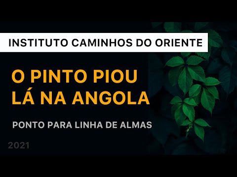 Capa do vídeo: O pinto piou lá na Angola