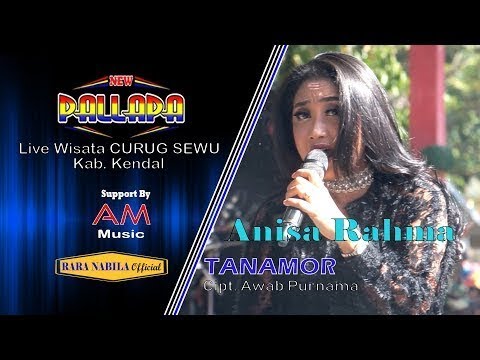 Hadirmu Bagai Mimpi lagu mendayu dayu Anisa Rahma New Pallapa Wisata CURUG SEWU Kendal 2019