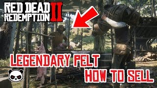 How To Sell Legendary Pelt | Red Dead Redemption 2