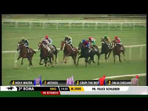 2017.11.05 Premio Conte Felice Scheibler (ITA) - Together Again