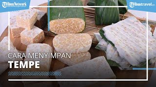 Biar Nggak Cepat Busuk, Simak 3 Cara Mudah Menyimpan Tempe