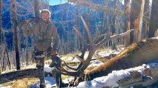 AMAZING Idaho Elk hunt - Limitless 39