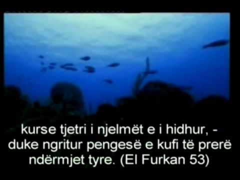 Mrekullitë Shkencore në Kur'an - Pjesa 3