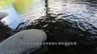 璞石閣 百年自然湧泉 啟模里洗衣亭