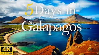 How to Spend 5 Days in GALAPAGOS Islands Ecuador