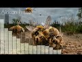 Maureen Kanyenda African Praise Audio