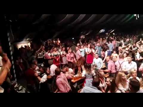 XDREAM, die Partyband aus Oberösterreich, Wiener Wiesn