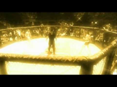 ULTIMATE FIGHTING CHAMPIONSHIP