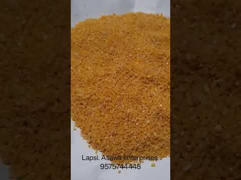 Golden wheat lapsi, high in protein
