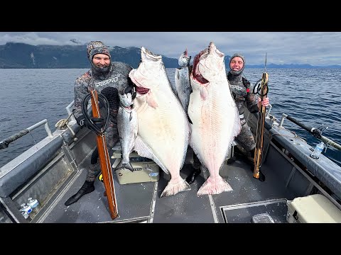 Spearfishing Halibut & Salmon In Alaska