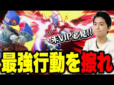 ファルコ (属)について詳しく解説