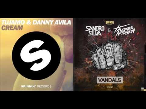 Tujamo & Danny Avila vs Sandro Silva & Thomas Newson - Cream vs Vandals (Abraham Ortiz Mashup)