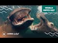 World Hippo Day with Mutual of Omaha's Wild Kingdom and Cincinnati Zoo & Botanical Gardens