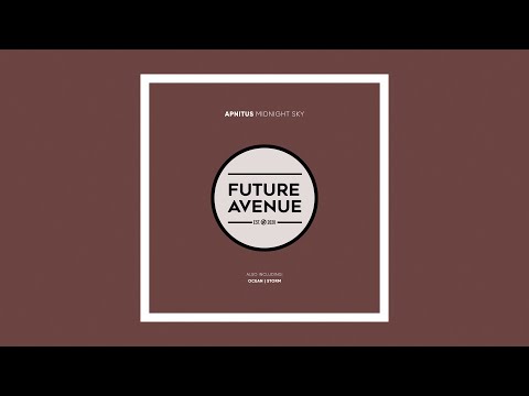 APNITUS - Midnight Sky [Future Avenue]
