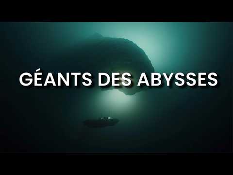 LE GIGANTISME des Abysses, pourquoi les grands fonds engendrent des géants ?