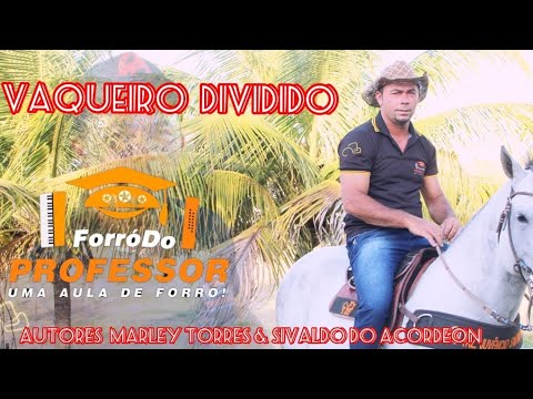 VAQUEIRO DIVIDIDO