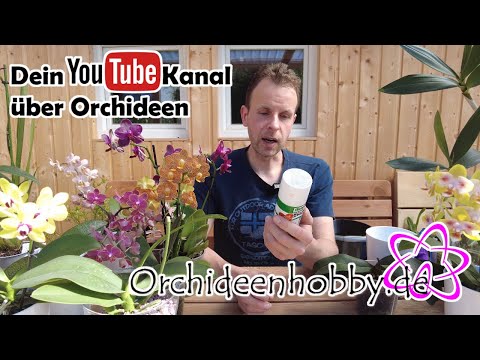 , title : 'Die beste Blattpflege für Dein Orchideen - Orchideenhobby.de'