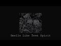Nirvana - Smells Like Teen Spirit (speed up)