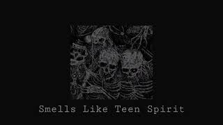 Cover art for Smells like teen spirit
