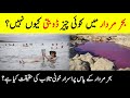 Mystery Of Dead Sea Why Doesn T Anything Sink In The Dead Sea بحر مردار کی حقیقت INFO