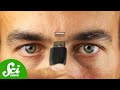 How Much Information Can A Human Head Hold