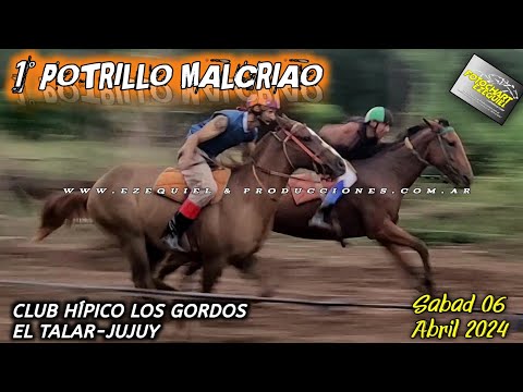 Club Hipico Los Gordos El Talar-Jujuy Sábado 06 abril del 2024 1°POTRILLO MALCRIAO  vs  2°LA MECHUDA