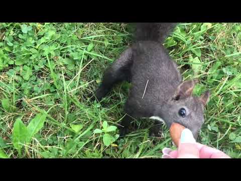 Sântimbru-Băi - colț de rai